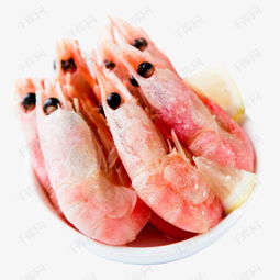 探索千庫網(wǎng)高清綠色海鮮素材 免費(fèi)下載的實(shí)用指南